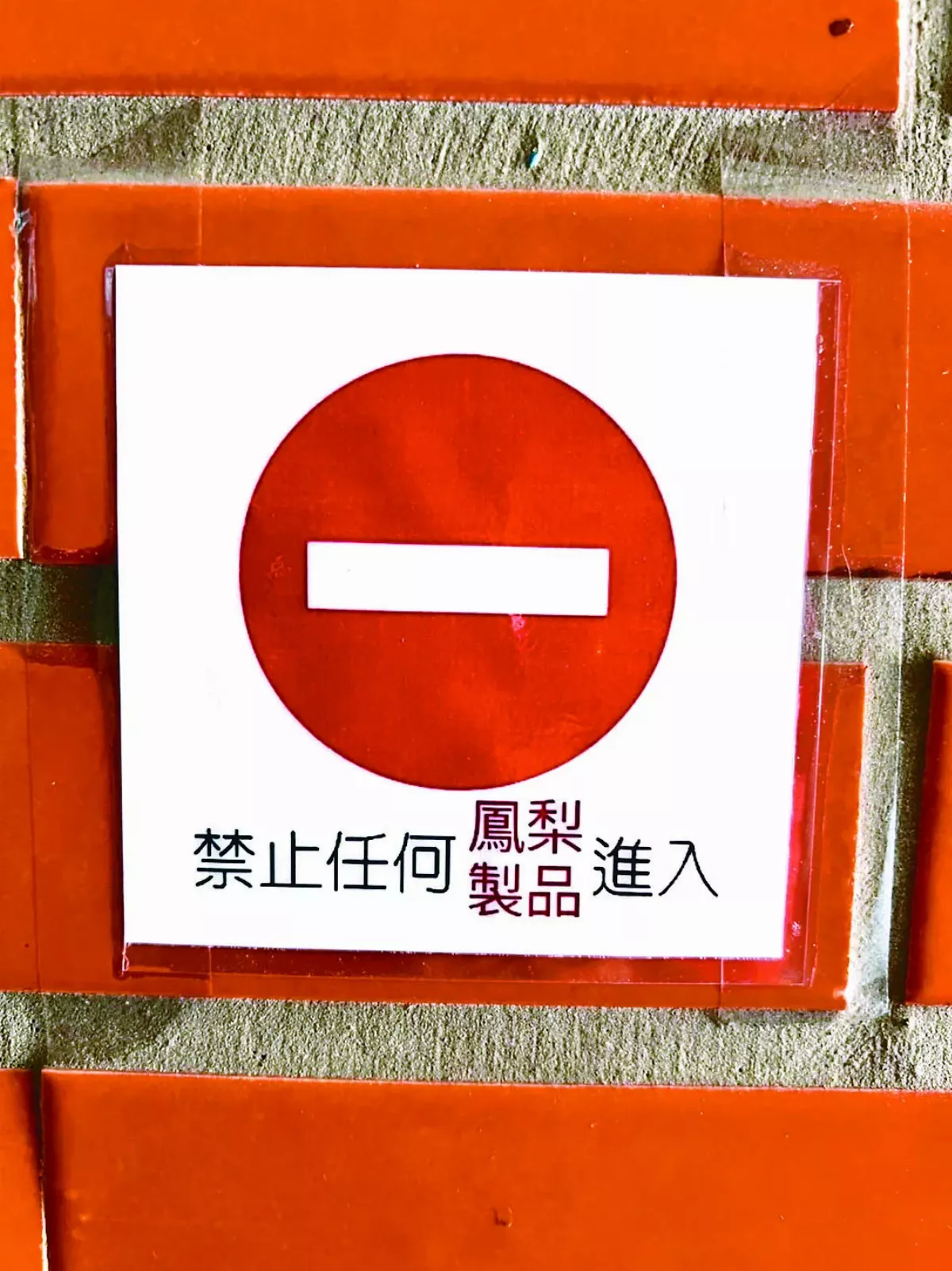 不宜旺不宜忙 教育界食物禁忌