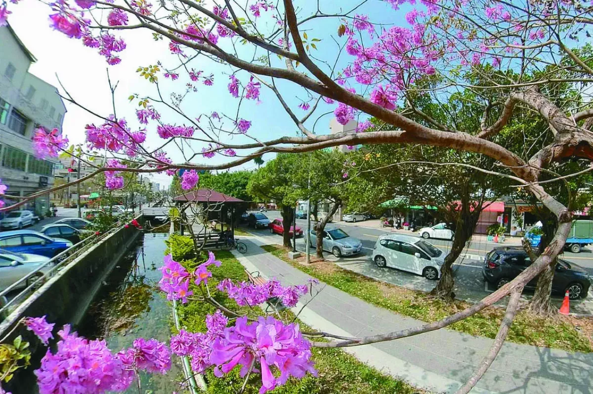 新營綠圳步道 健走熱點