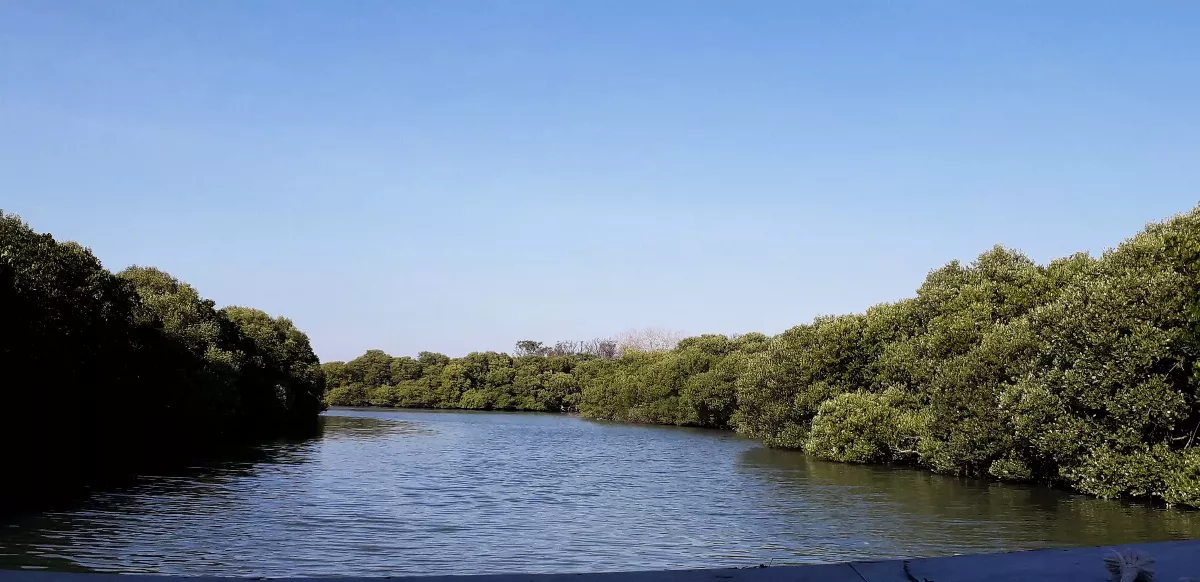 【美哉斯土】台江國家公園
