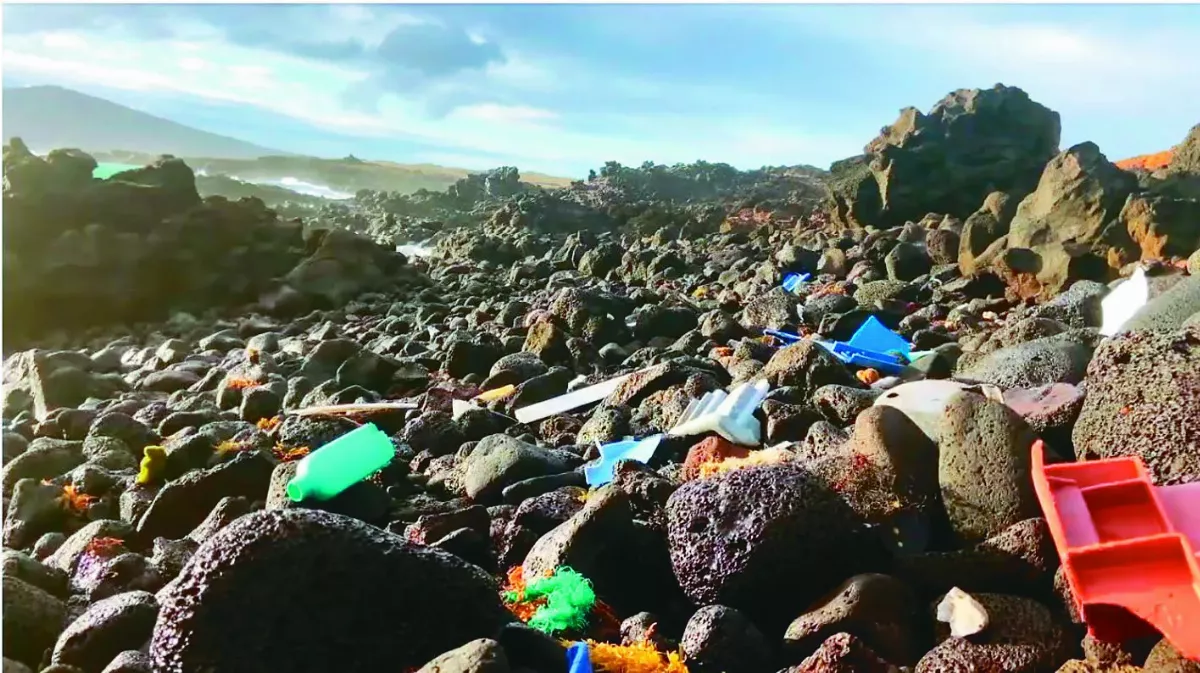 每月1 噸沖上岸  170兆塑膠顆粒 恐淹沒復活島