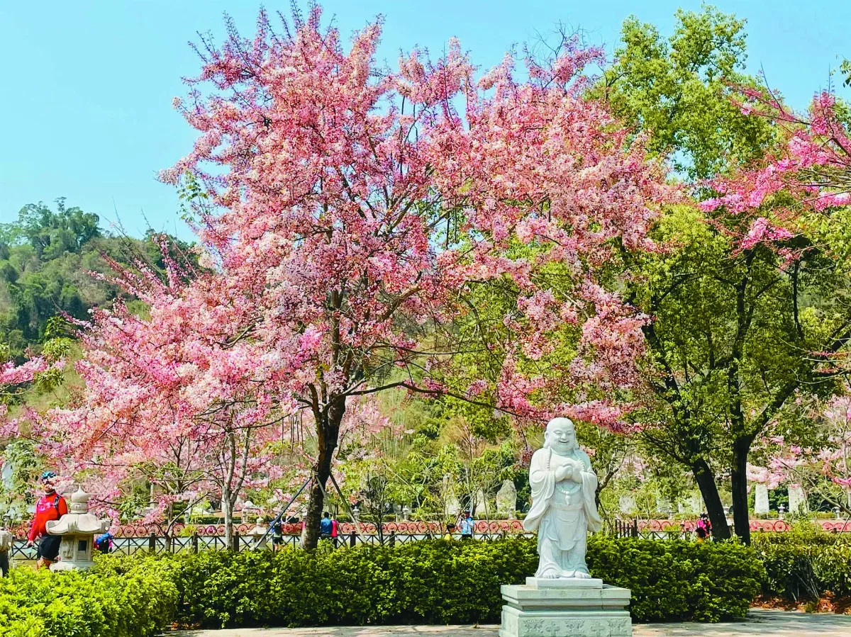 【印象旅人】霧台賞花健康走