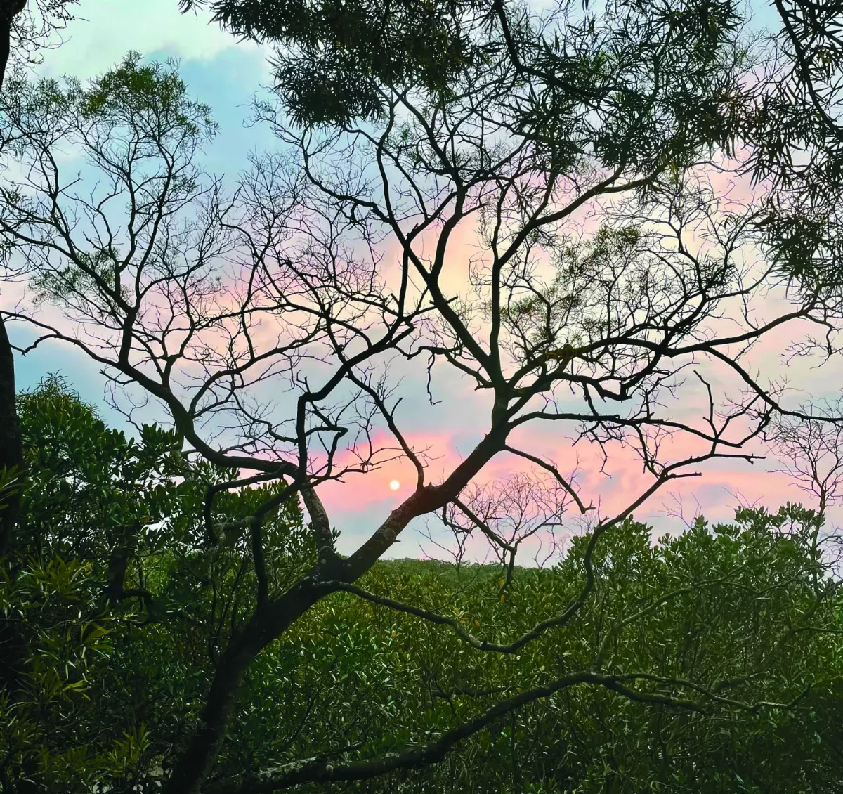 【時光重逢】簡上仁的田園樂章