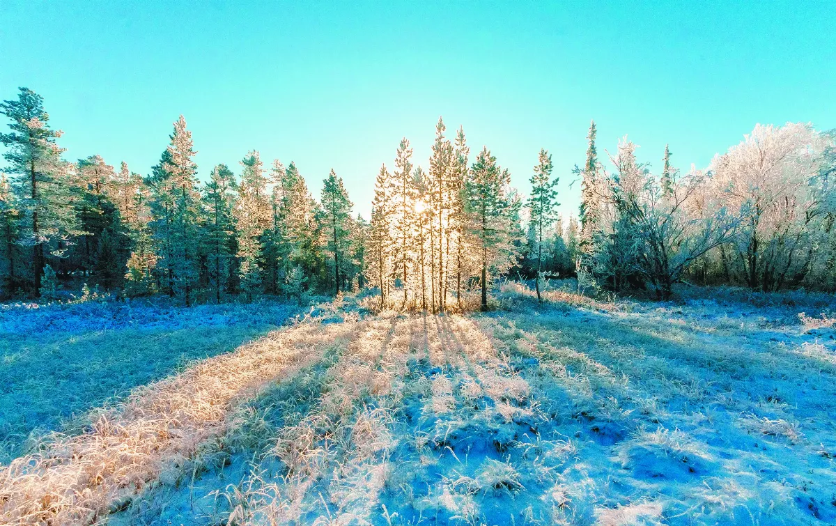 【法寶故事】逐妄捨真 世間大痴