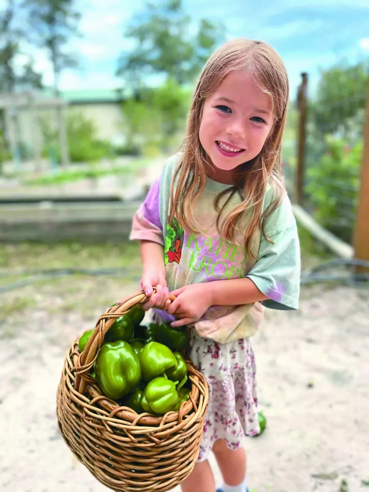 愛的接力 6 歲女童種菜助人