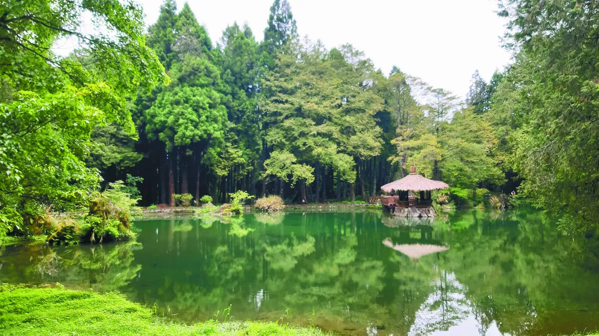 【生活快門】 與山林為伍