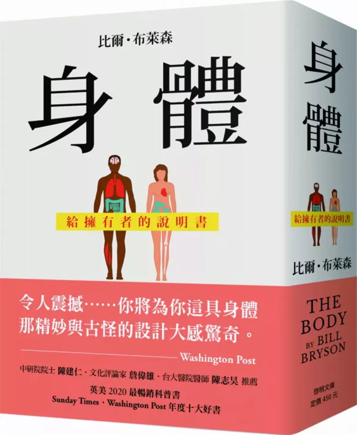 胃腸 消化能力