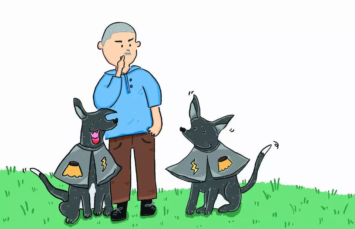 【好狗名】閃電布丁