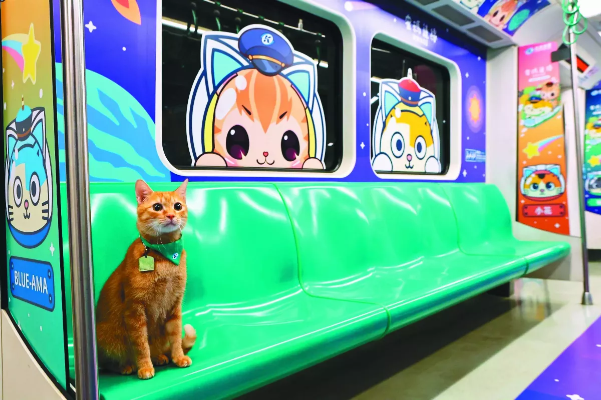 高捷15歲  蜜柑站長現身