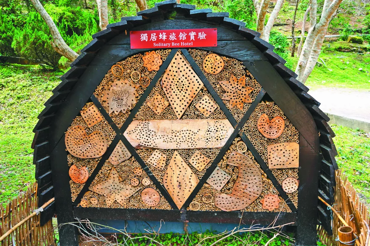 為獨居蜂蓋旅館 生態新亮點