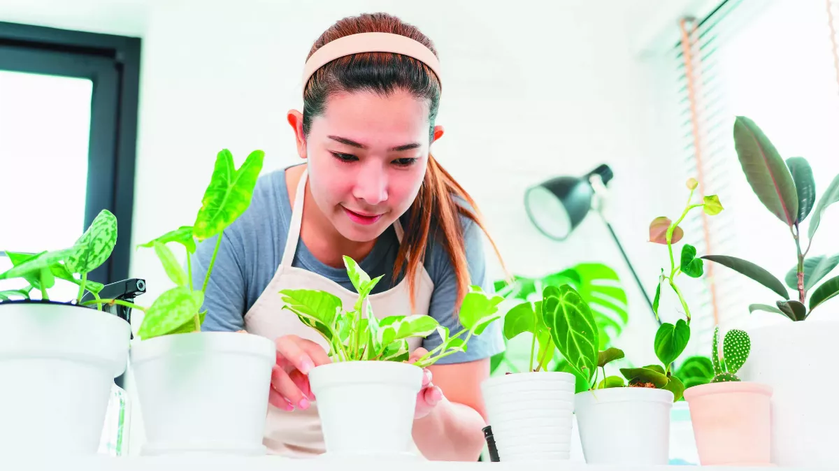 沒騙你 植物受傷或渴了會尖叫