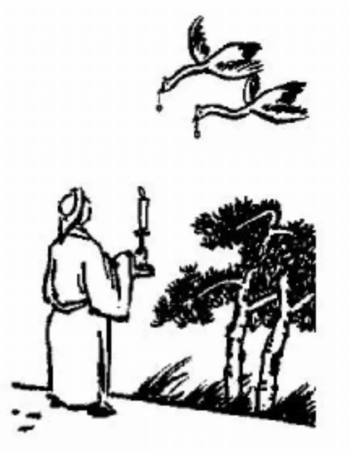 【護生畫集】雙鶴啣珠