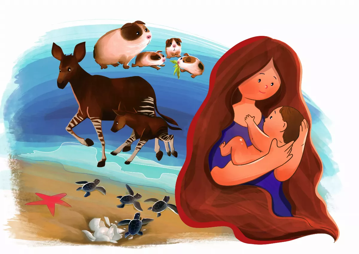 早熟嬰兒 生下就能走