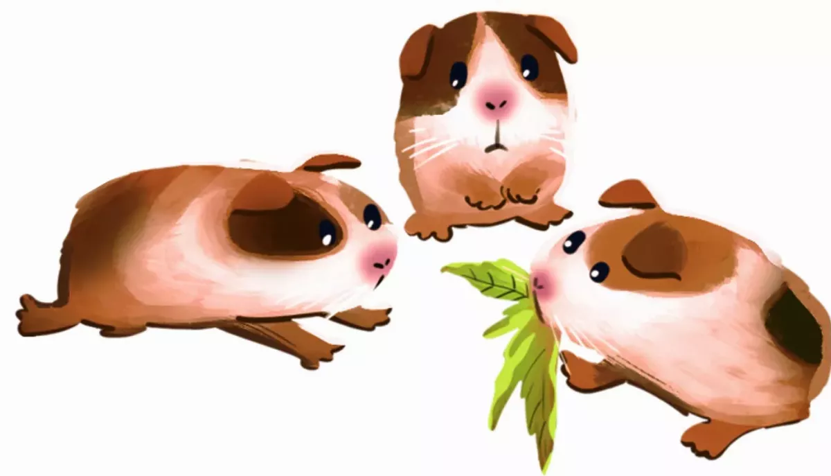 早熟嬰兒 生下就能走