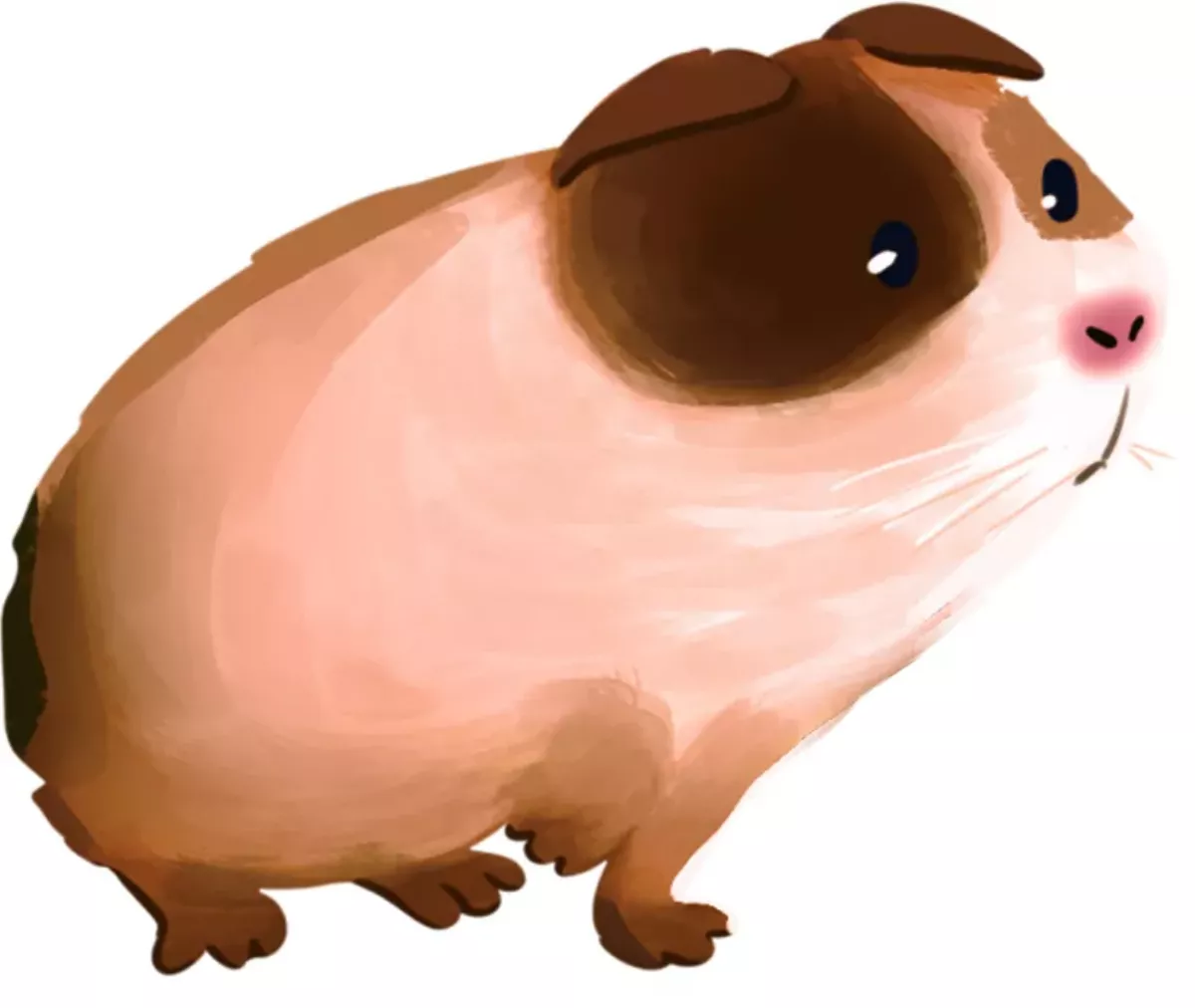 早熟嬰兒 生下就能走