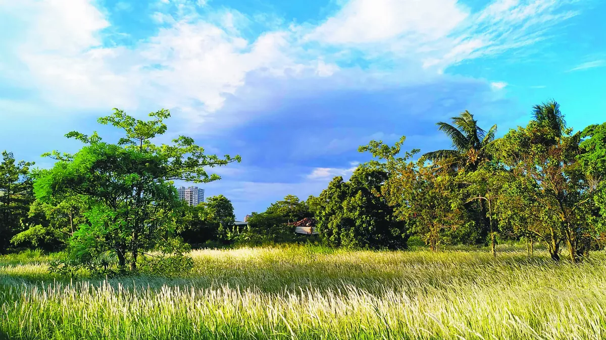 【海闊天空】在地旅行 處處有驚奇