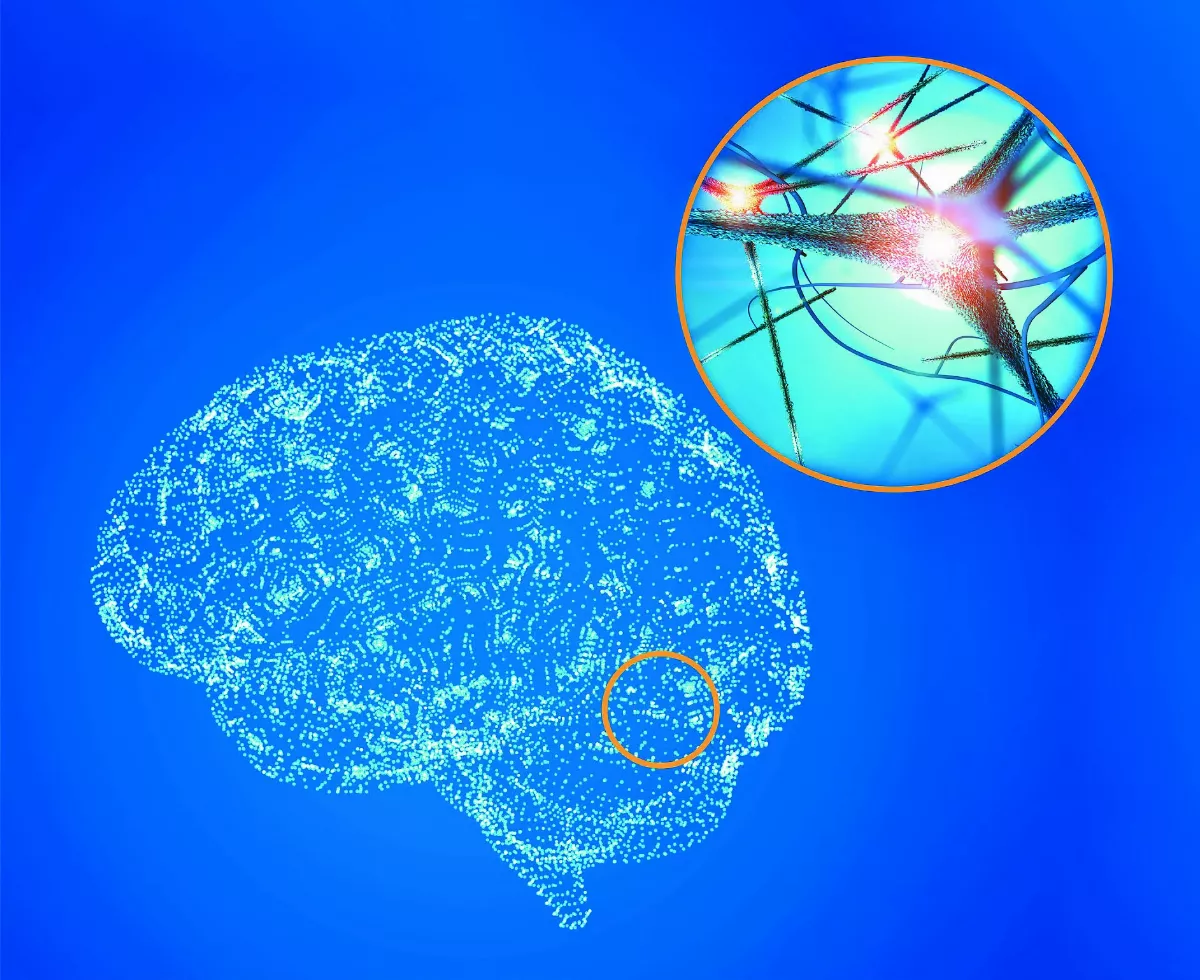 【心腦能量】樂觀積極與大腦有關