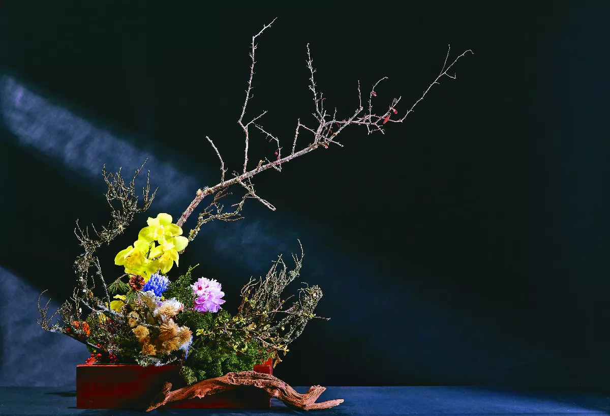 【非花即色】夢幻空花