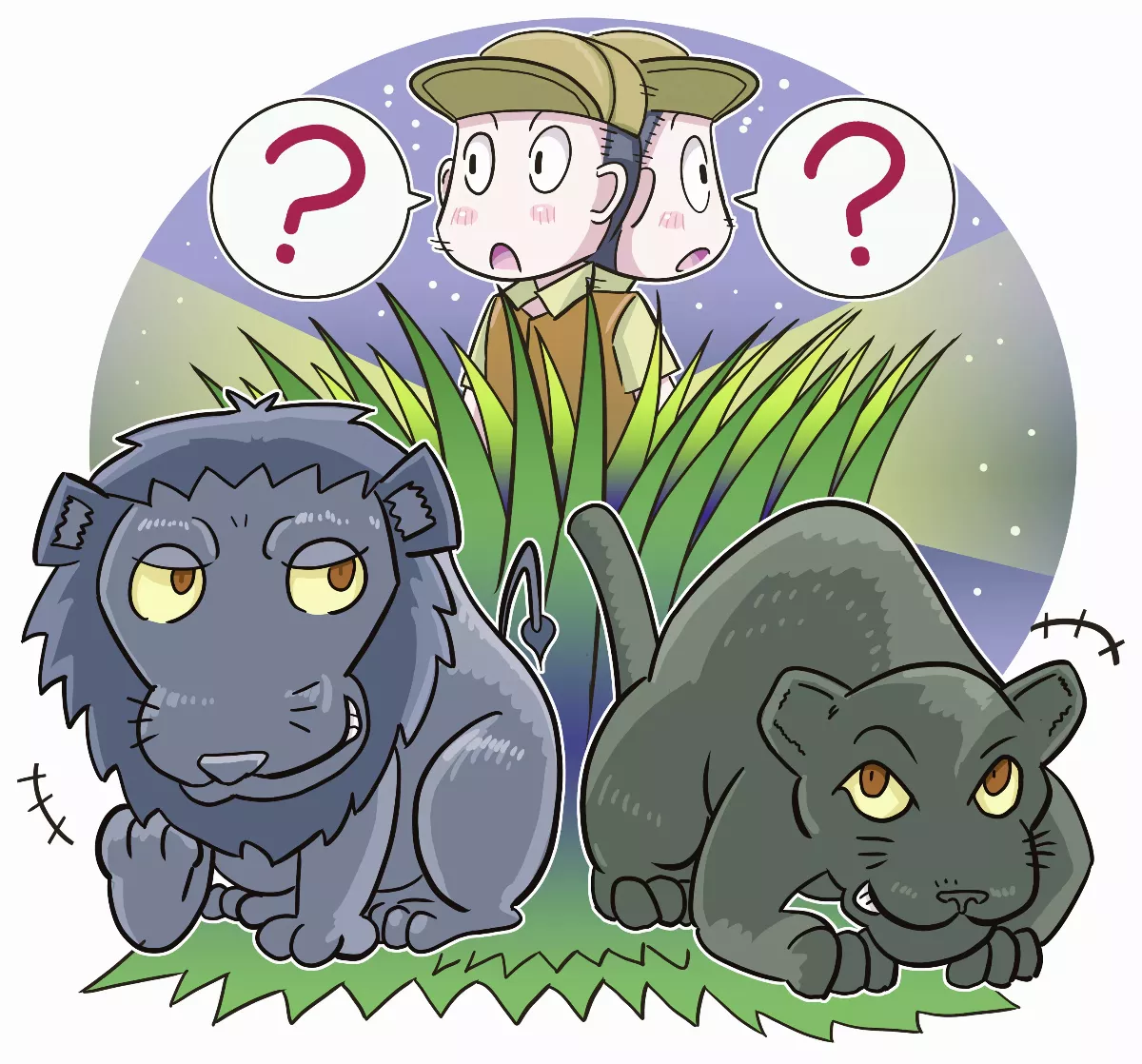 為何有些動物黑嚕嚕？