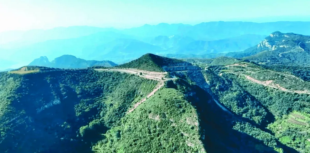 26年種百萬棵樹 他將荒山變森林