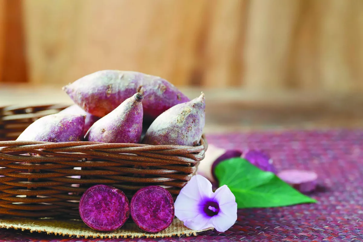 營養充足適度運動 過抗發炎減壓生活