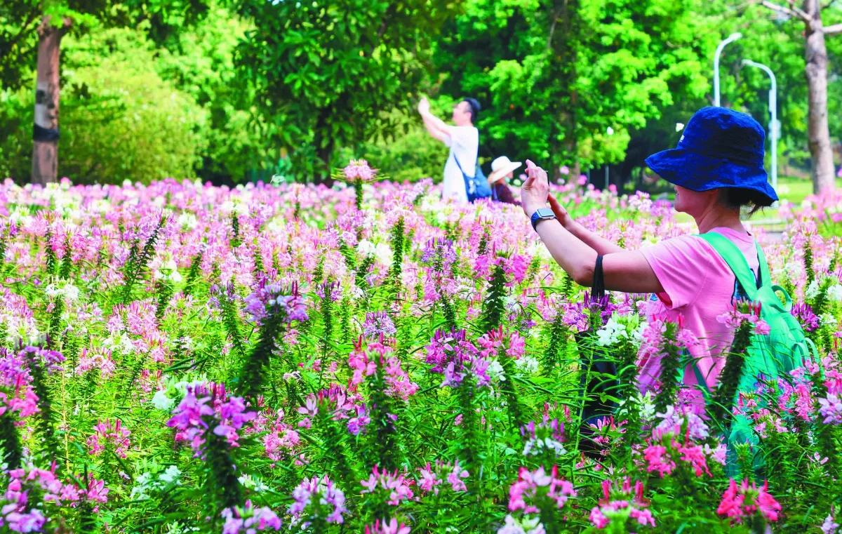 早睡早起少吃甜食 趕走春睏
