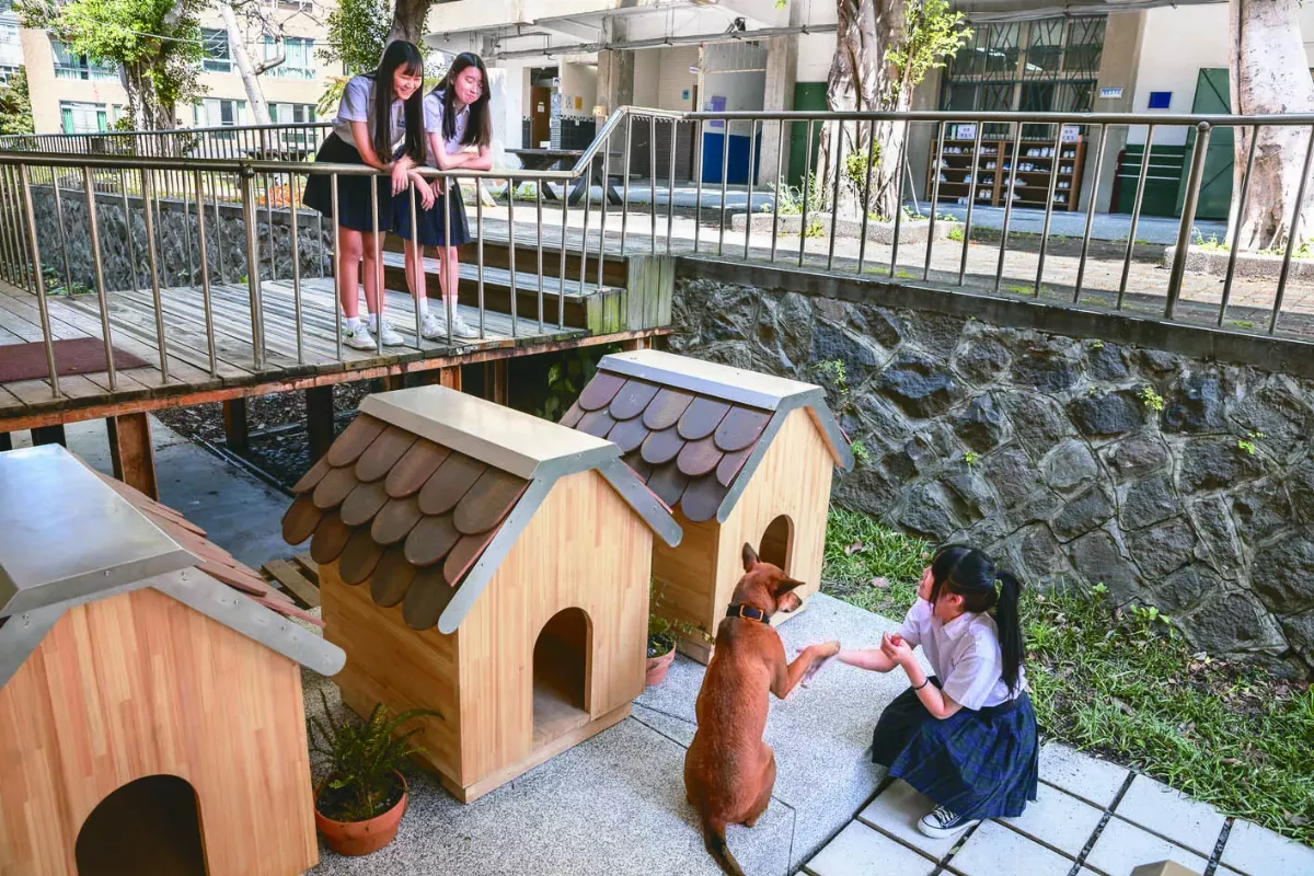 浪浪新家也是教室 扎根生命教育