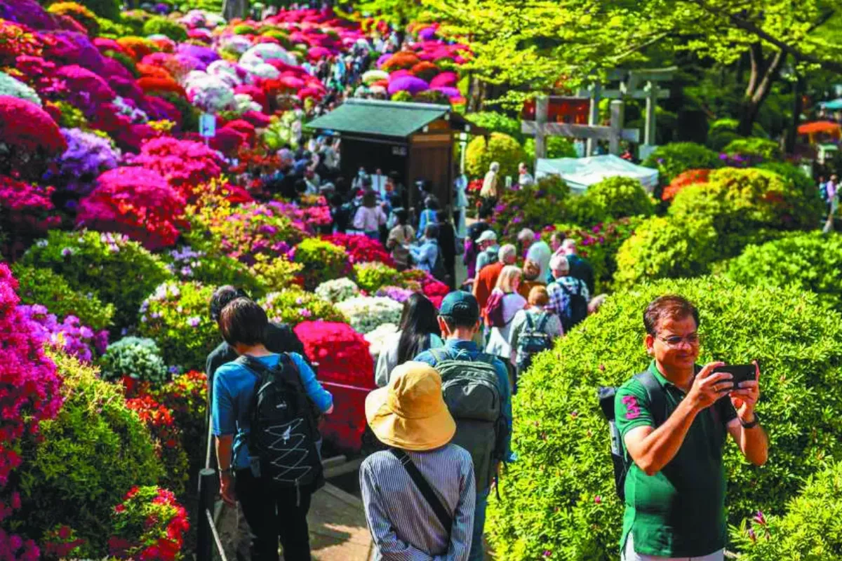 寰宇新聞  一周回顧