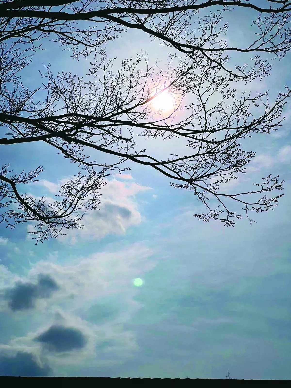 【紅塵禪煙】苦之用