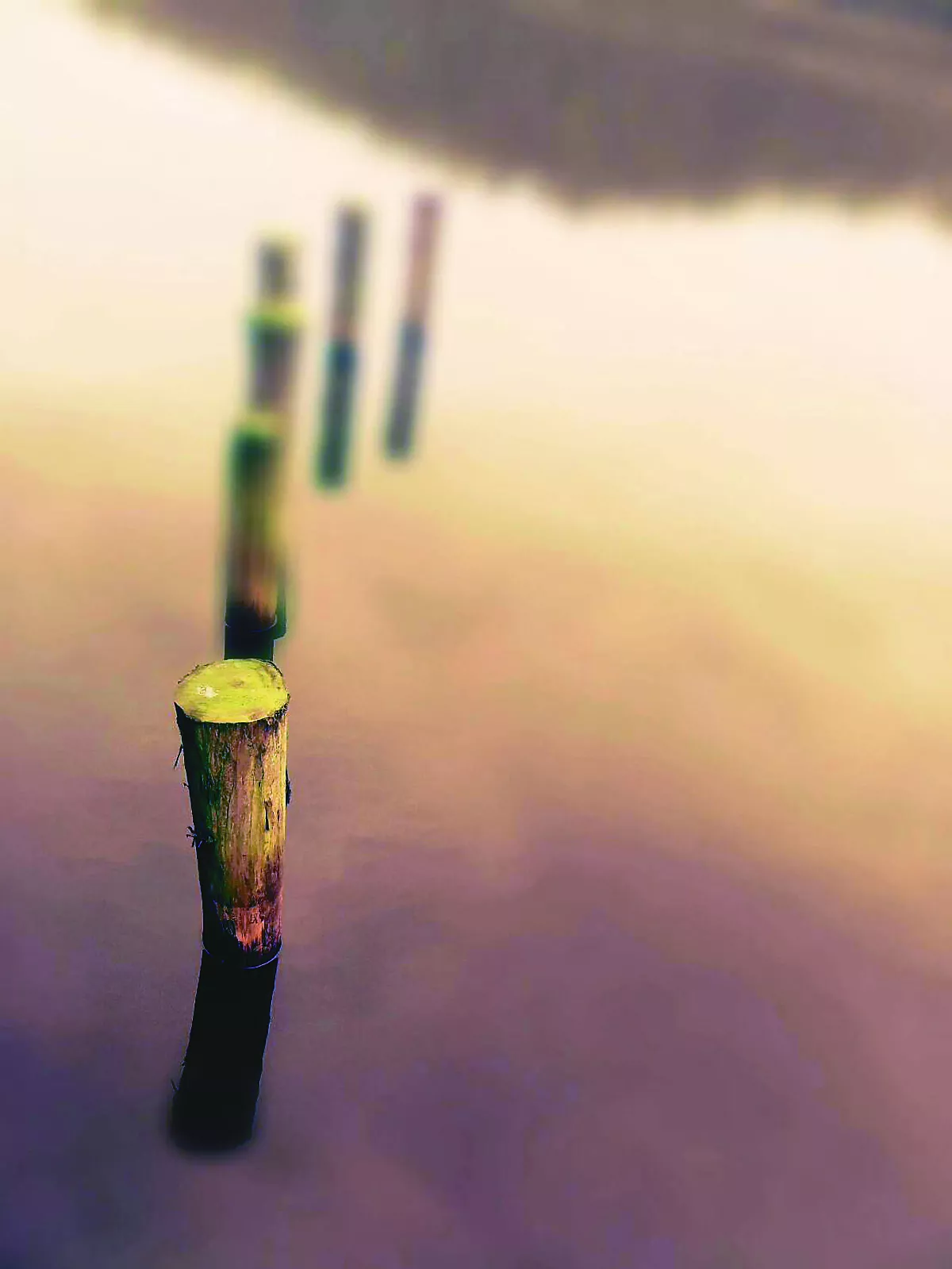 【生命畫語】學無止境