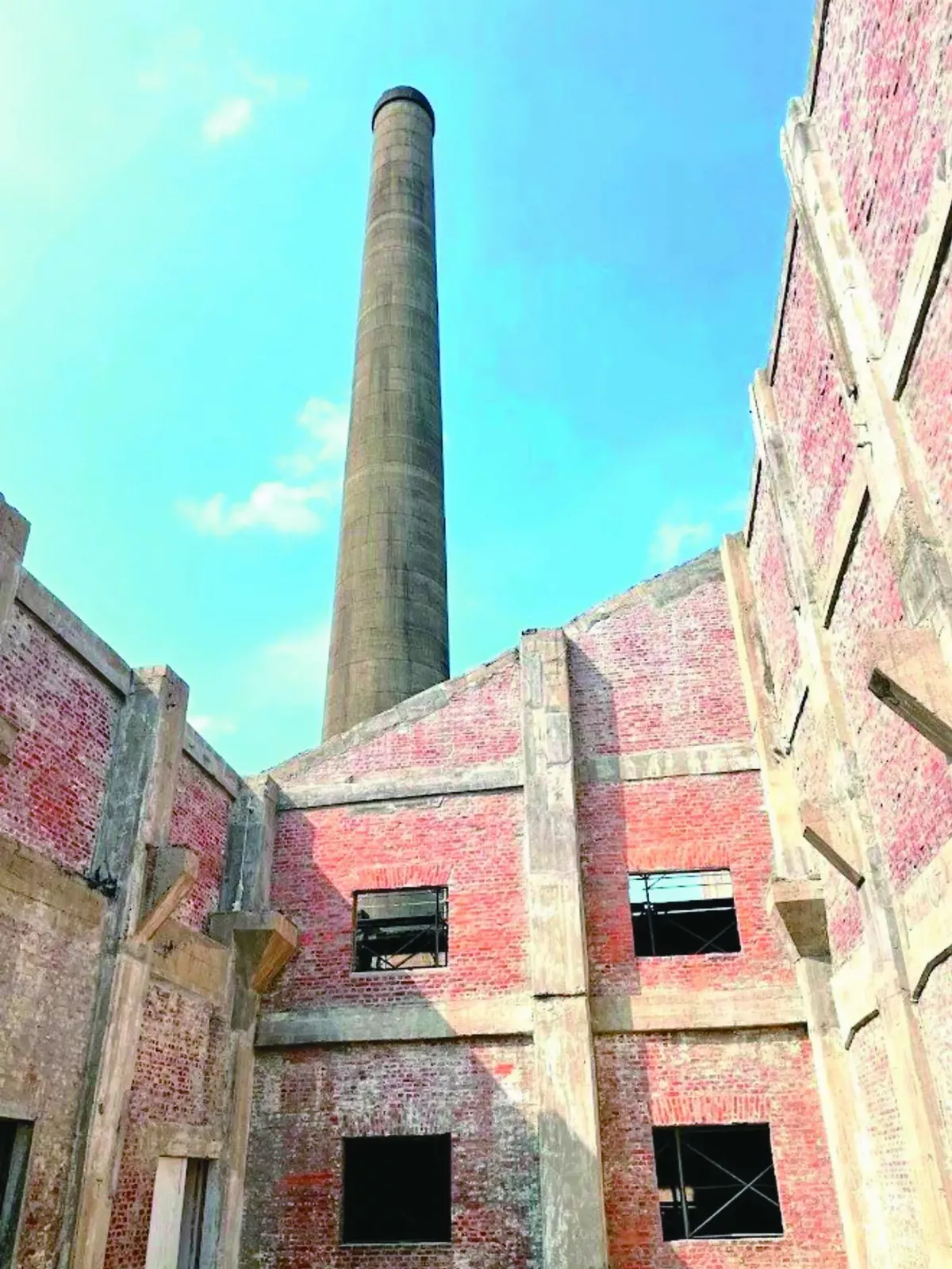 竹市大煙囪保育有成  霜毛蝠現蹤