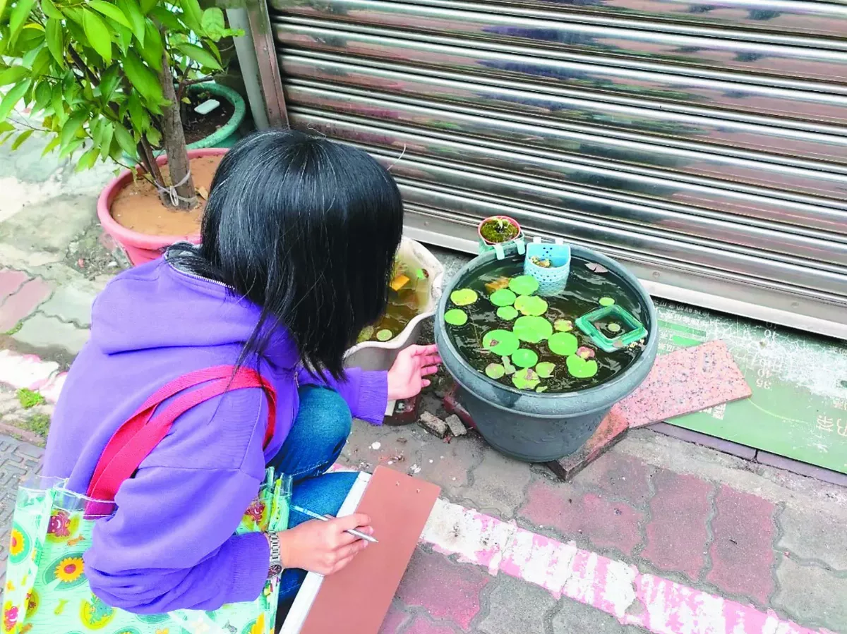 清除積水容器 防蚊最有效