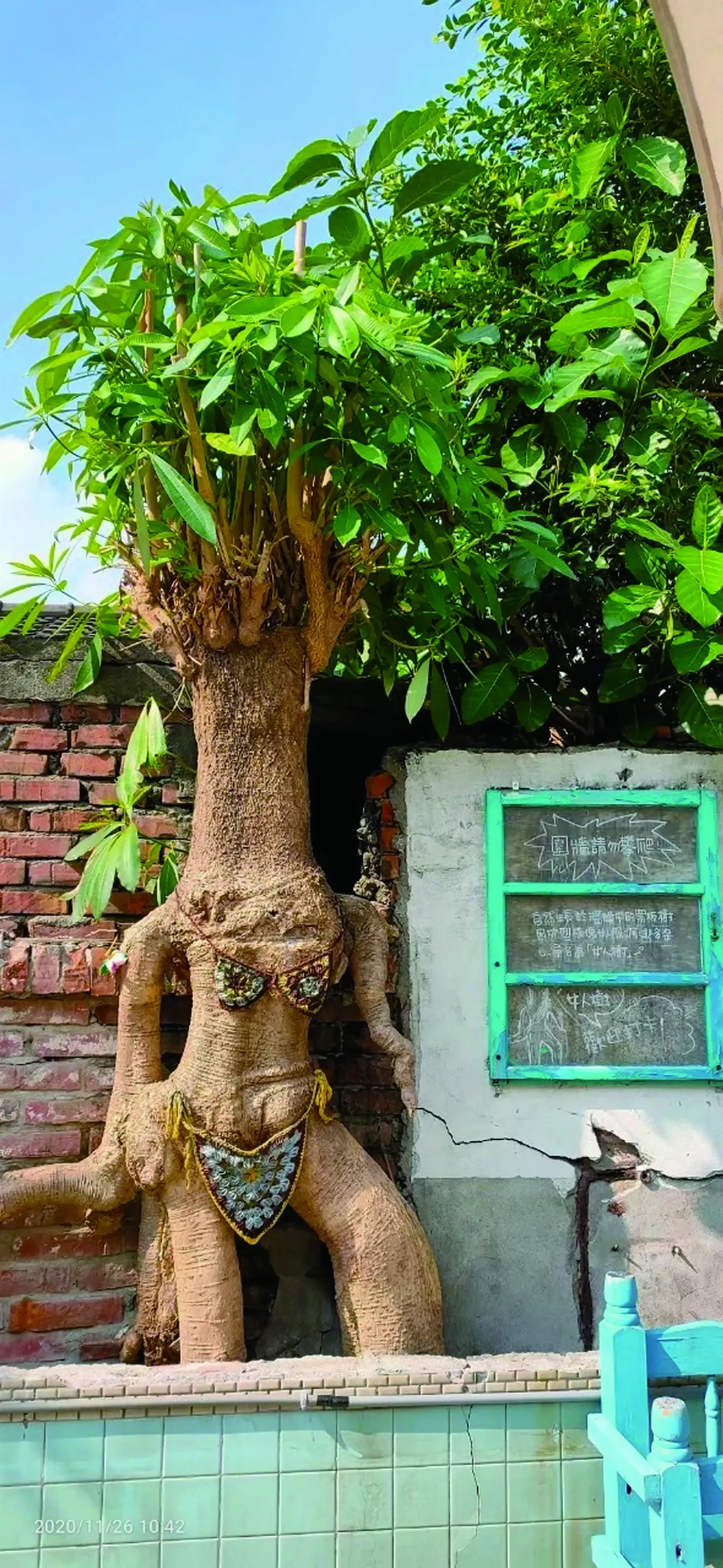 【眷村回憶】聽樹說故事