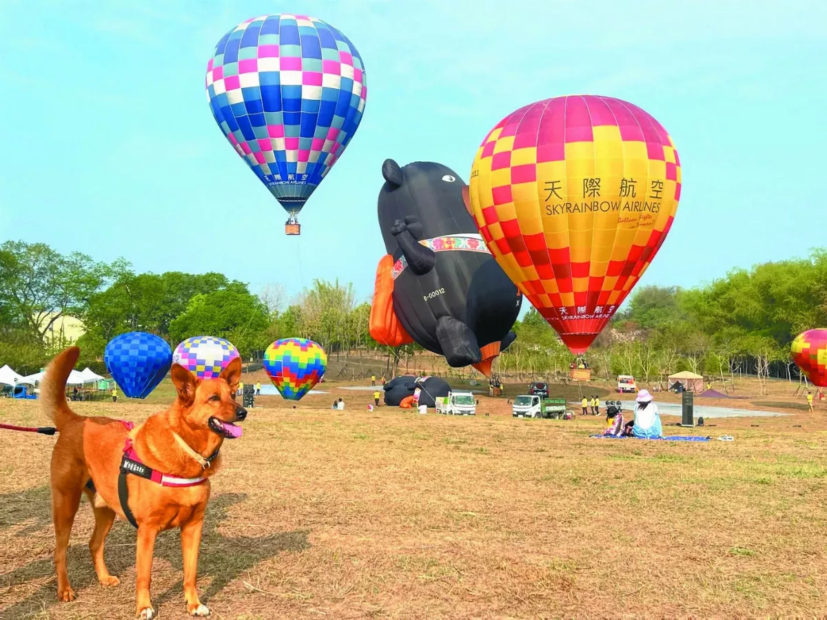 西拉雅森活節 民眾毛孩同樂