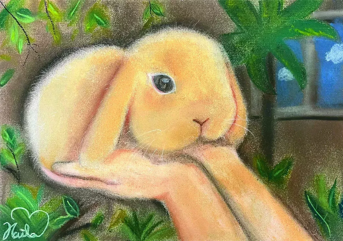 【快樂塗鴉簿】垂耳兔