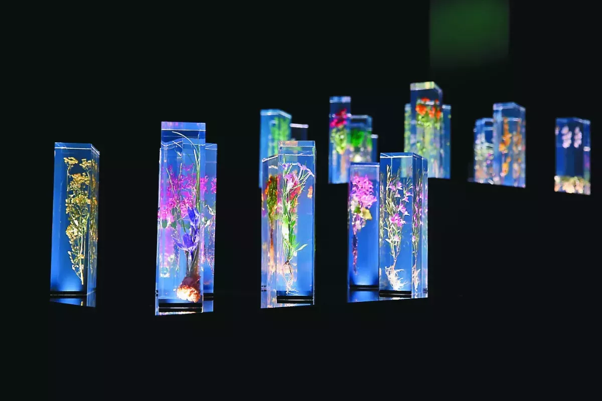 台灣蘭花 壓克力中綻放