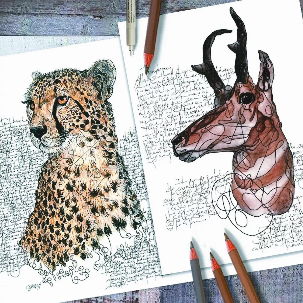 插圖日記 喚醒對野生動物記憶