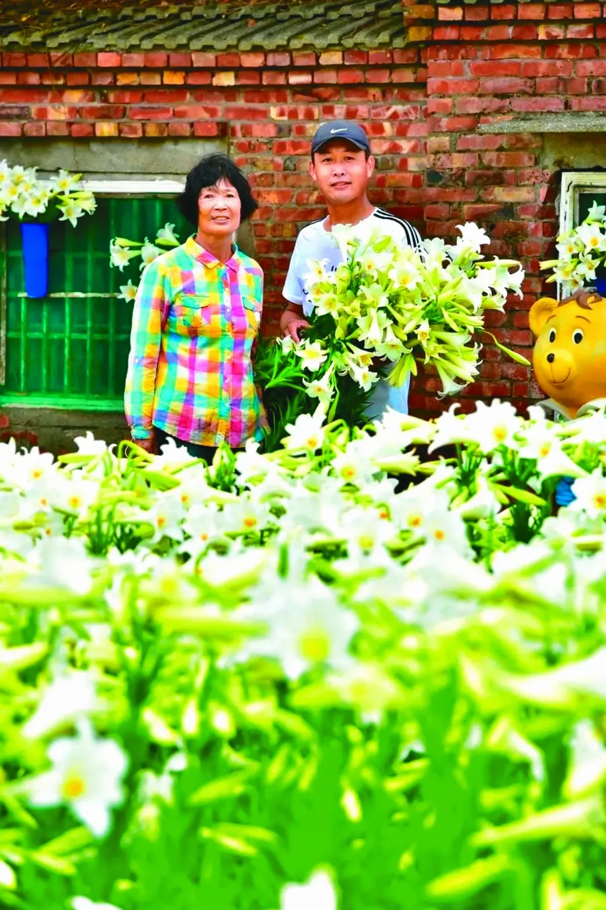 6萬朵百合 送給最幸福老媽