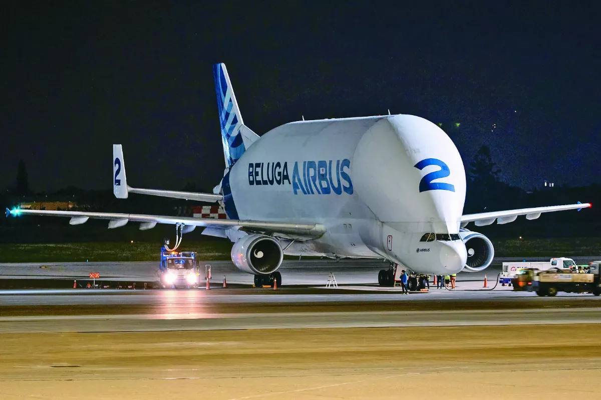 空巴大白鯨  快閃桃機