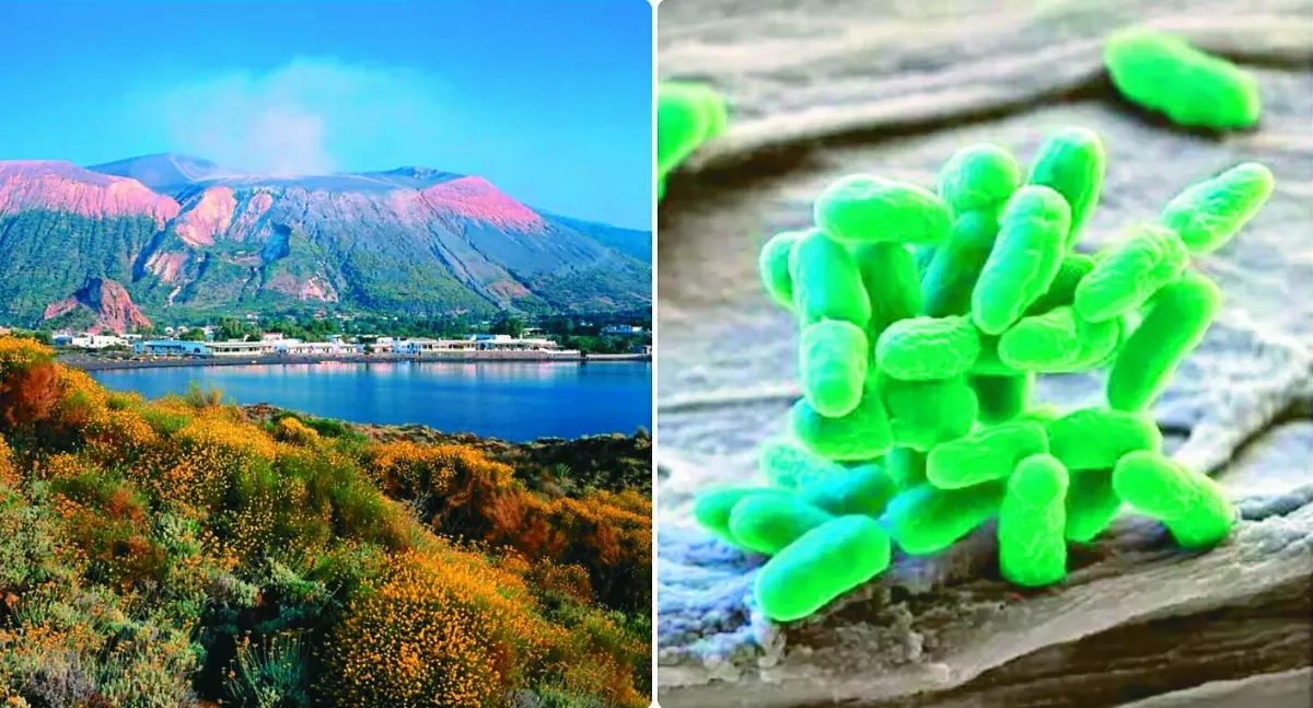 火山微生物 地球減碳新幫手