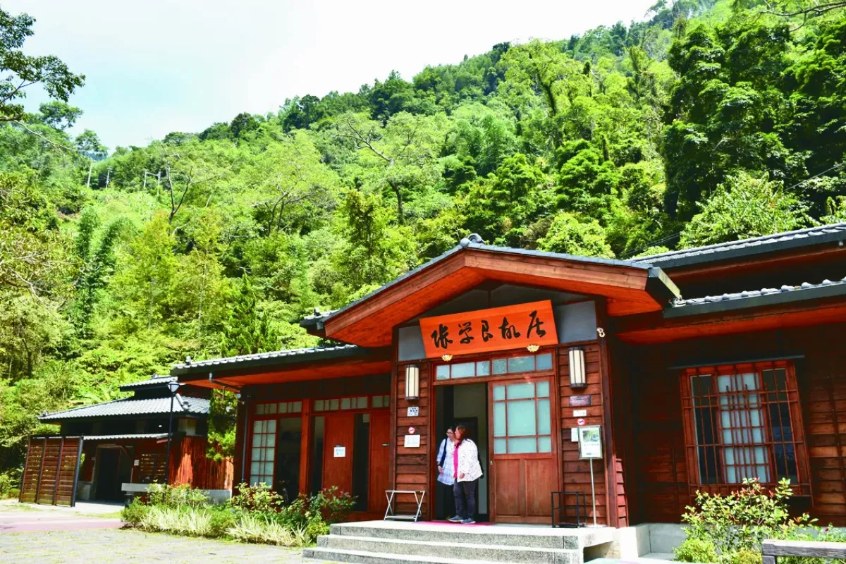 觀霧好行 網路預約賞美景