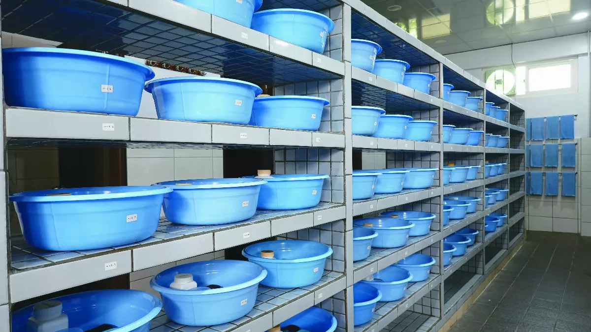 【叢林風光】叢林管理學 幫你修身更修心