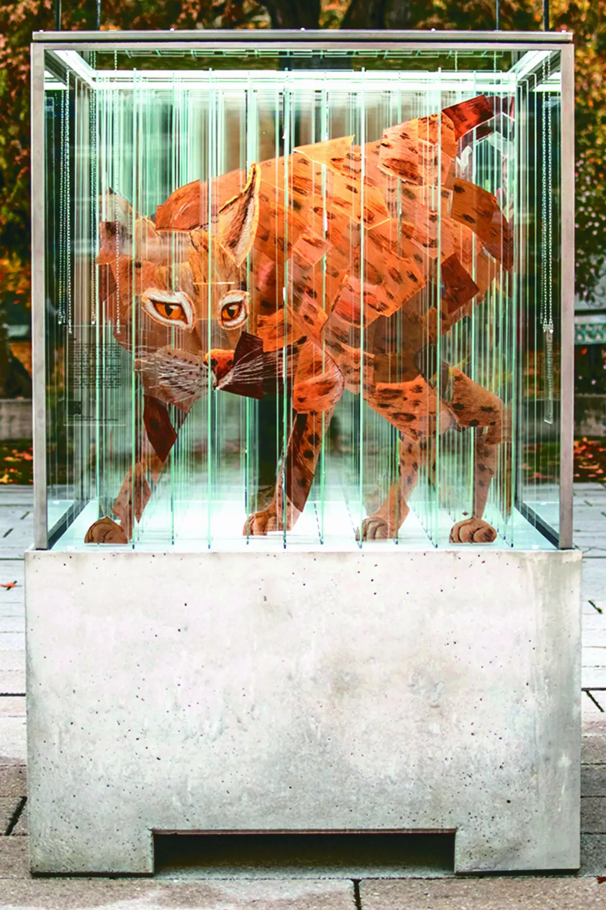奇幻立方體 揭 4 動物生存危機