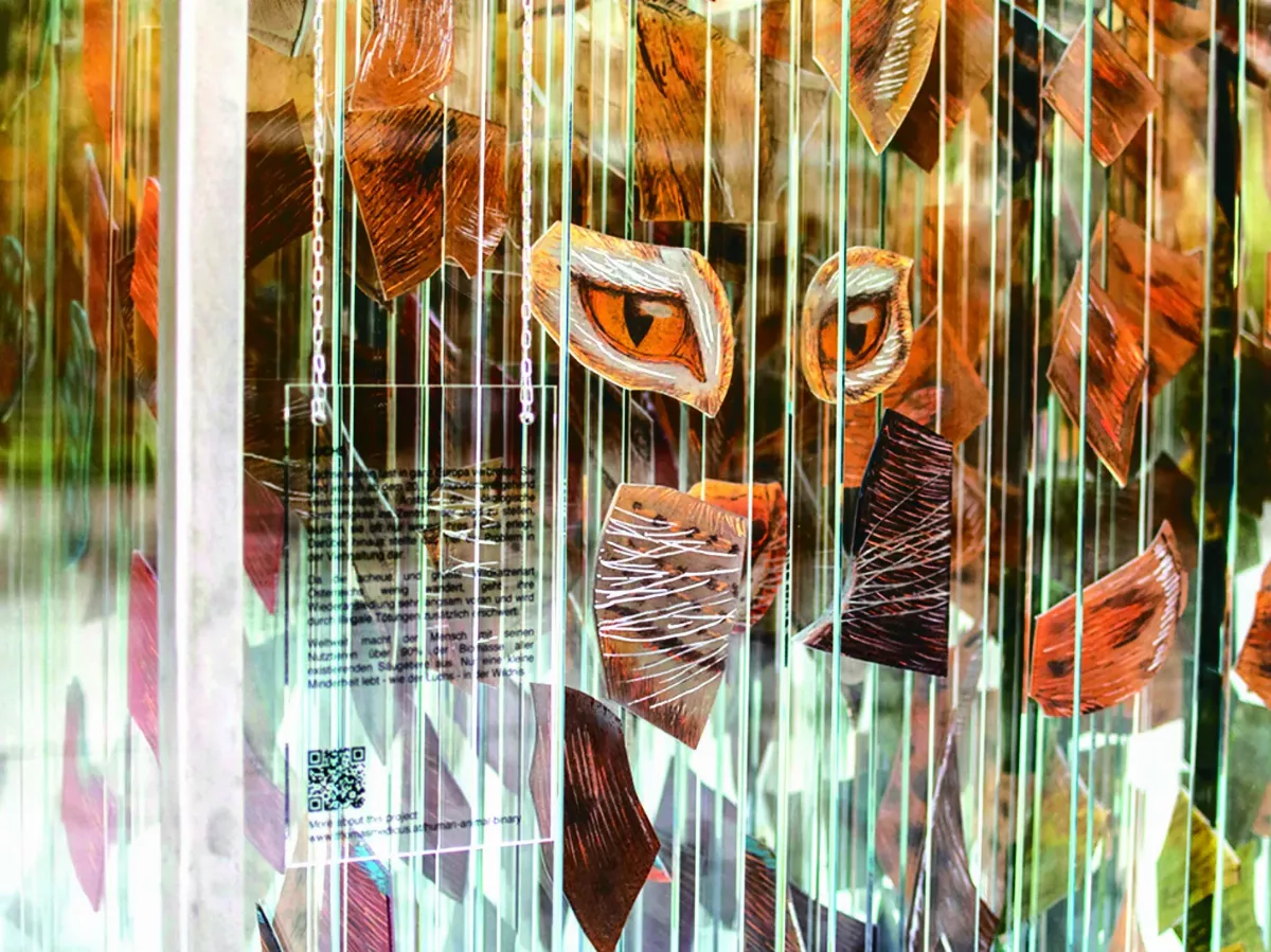 奇幻立方體 揭 4 動物生存危機