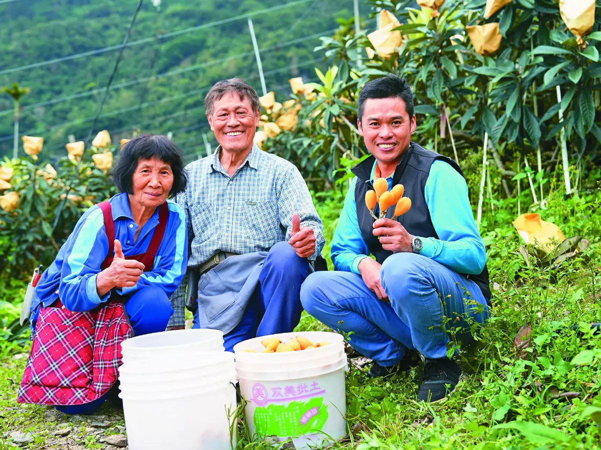 水果出任務 日昇之鄉 枇杷行