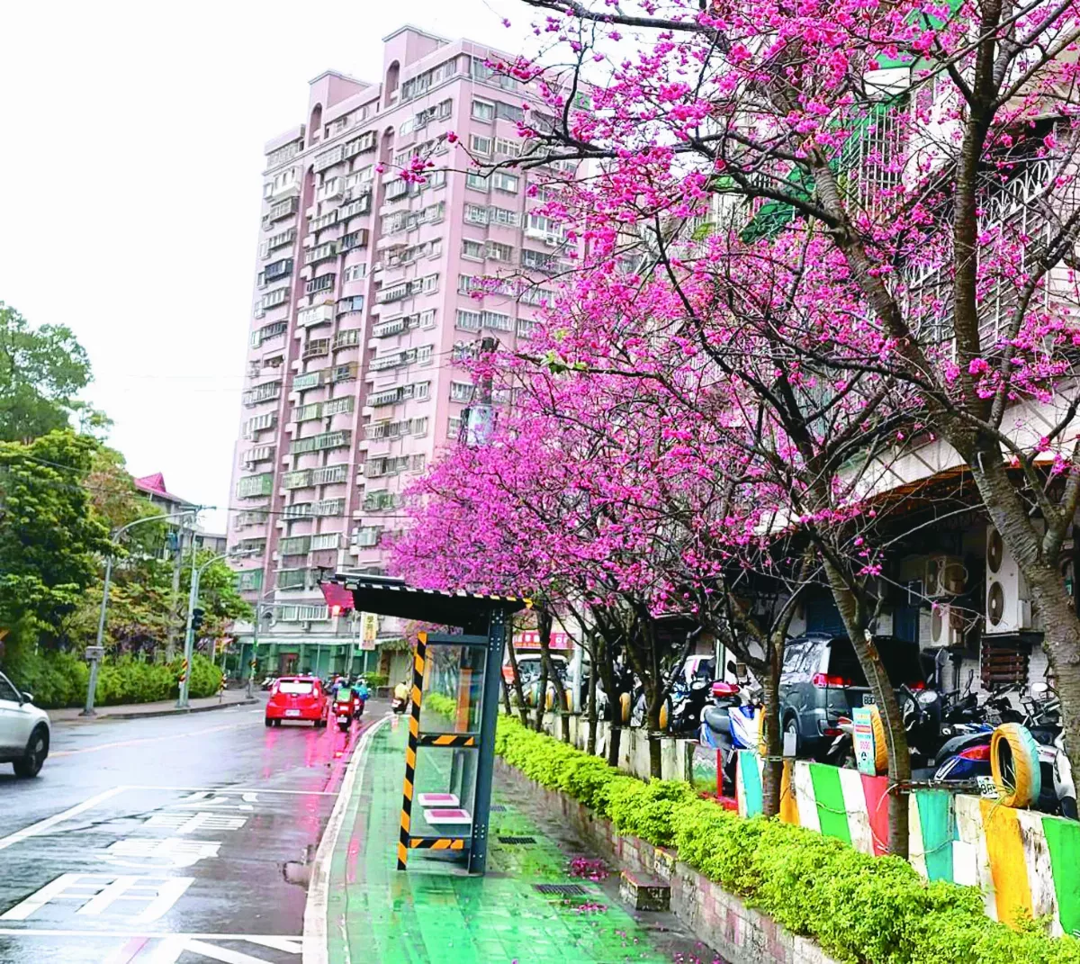 【生活快門】就近賞花