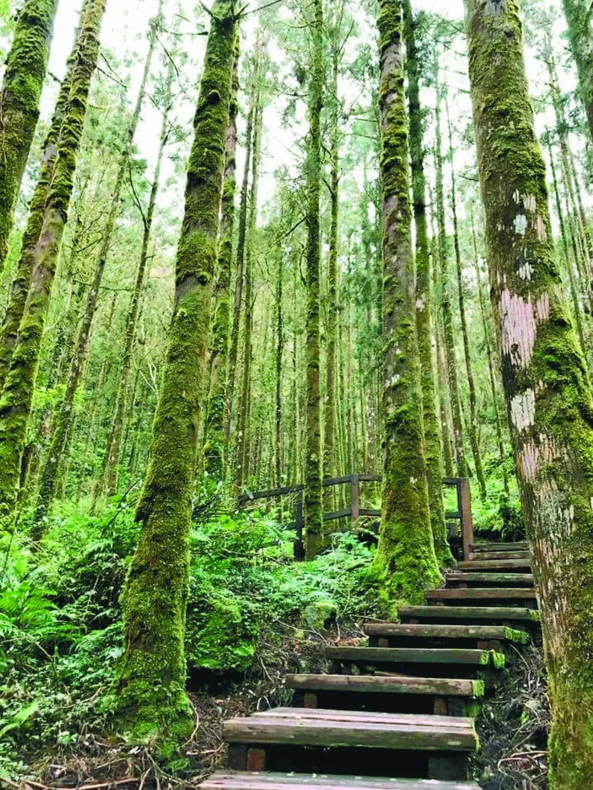 【歷史點滴】探索台灣北部橫貫公路（上）