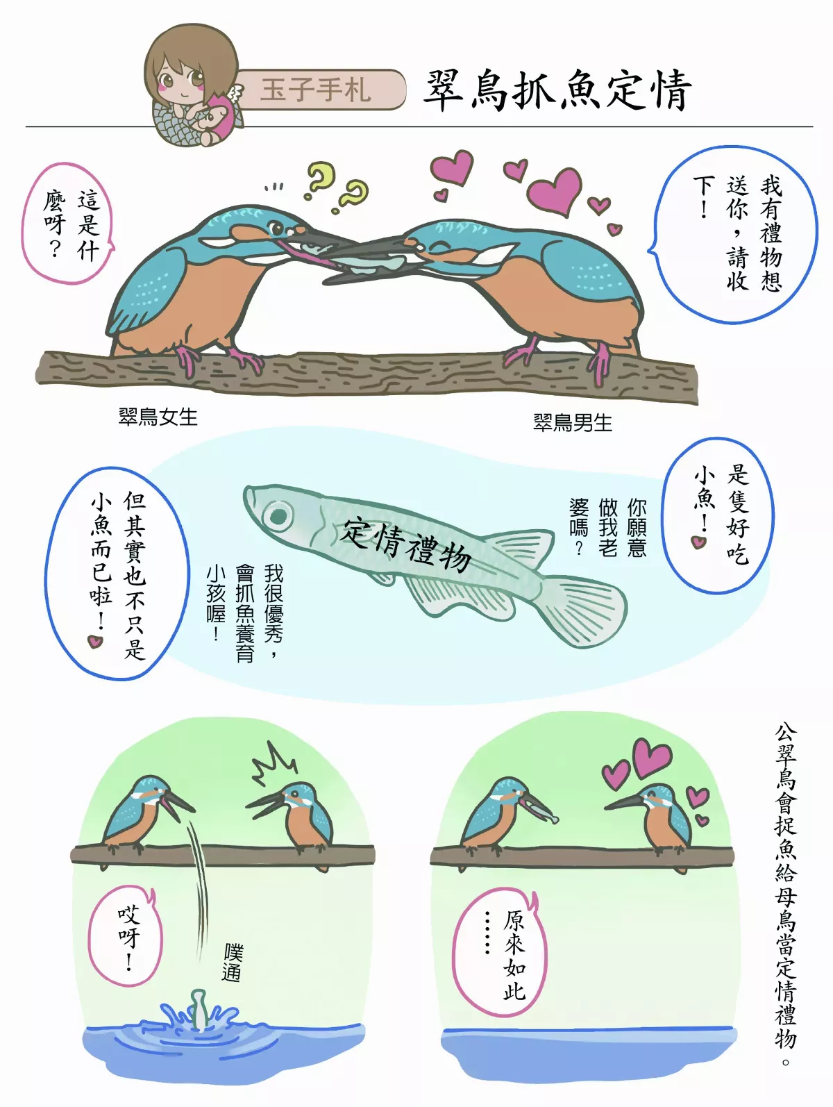 翠鳥之愛 從青澀到天倫之樂