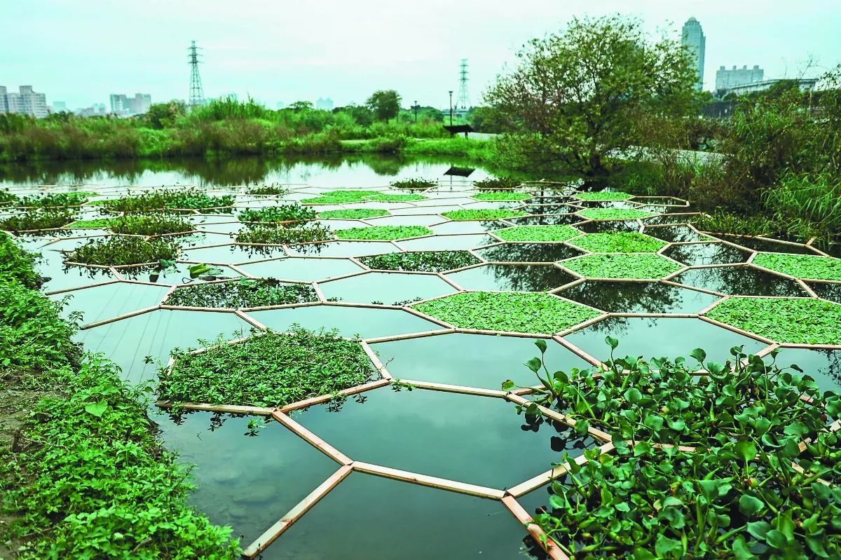 新北溼地藝術季徵件 交織人文情感
