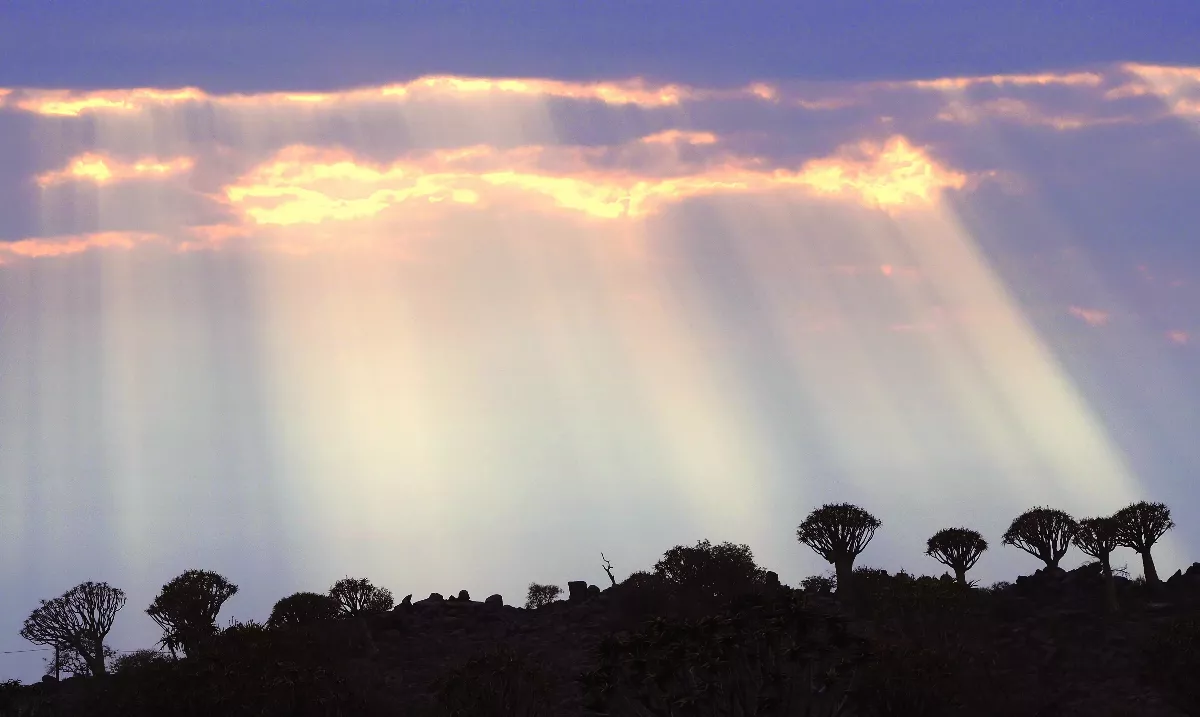 【佛法真義1佛法義理㊿】佛佛道同 光光無礙