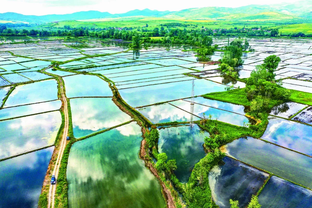 北馬其頓良田美景